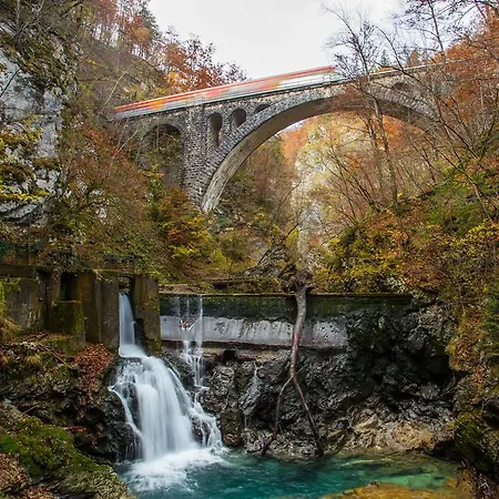 Alloggio per agriturismo Bio Turisticna Kmetija Frcej-zupan Bled