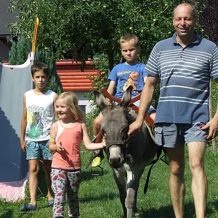 Alloggio per agriturismo Bio Turisticna Kmetija Frcej-zupan *