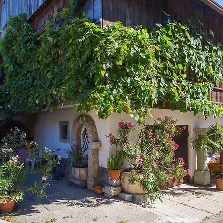 Bio Turisticna Kmetija Frcej-zupan Alloggio per agriturismo Bled